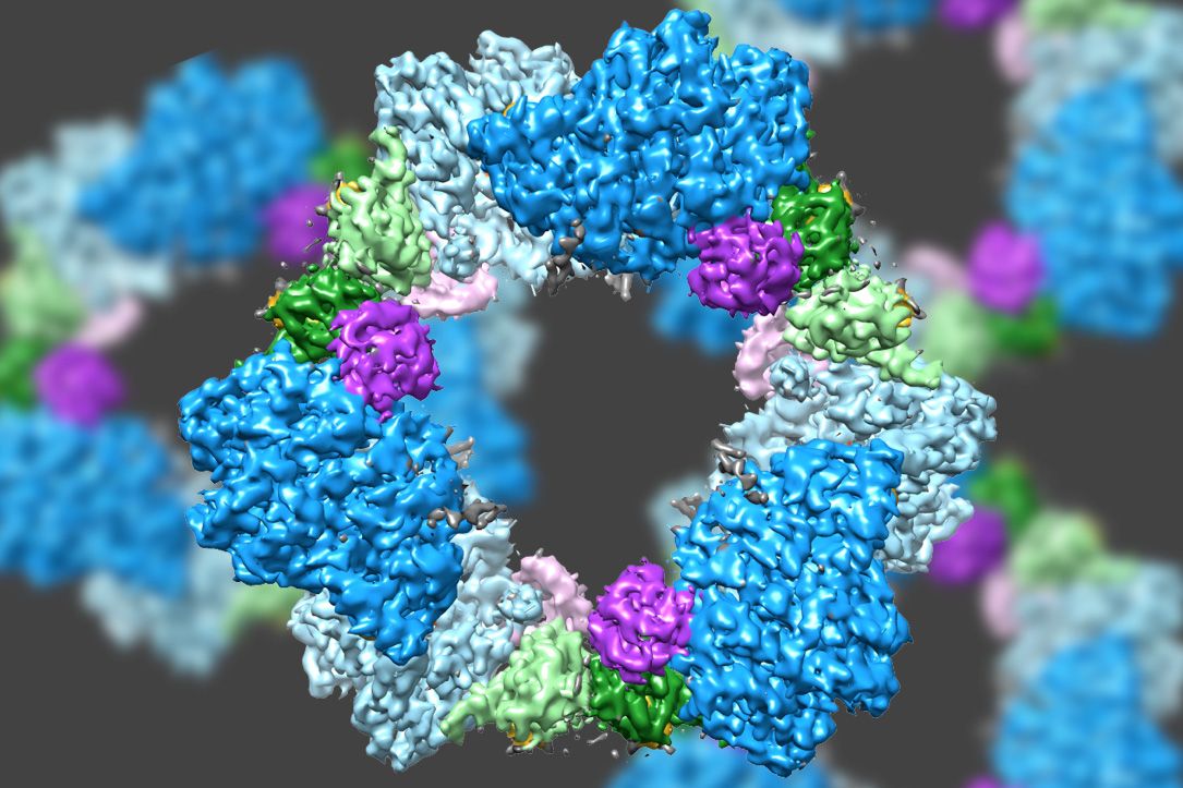 Blue, purple, and green image of Enzyme Structure