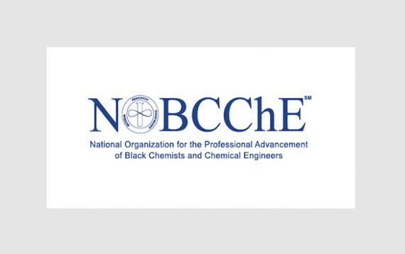 Nobcche Abstract Example National Organization for the Professional Advancement of Black ...
