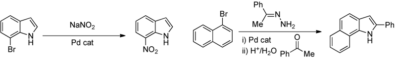 The design of new methods for the formation of carbon-nitrogen bonds. This work involves the use of metal catalysts, usually based on palladium or copper.