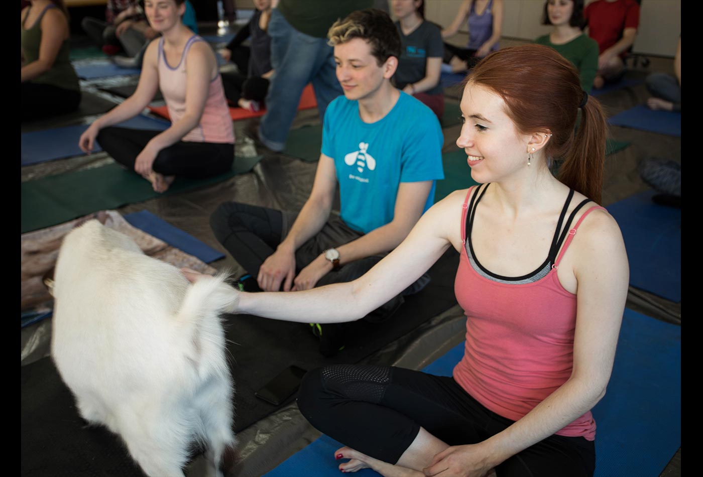 Graduate students smile as a goat wanders through their yoga class.