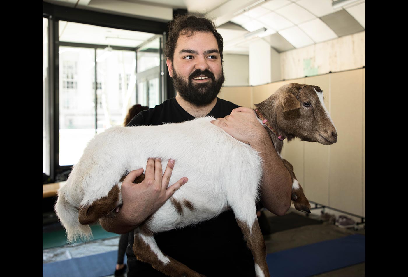 A male graduate student holds a brown and white goat