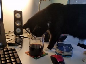 a cat sticks its face in a coffee cup.