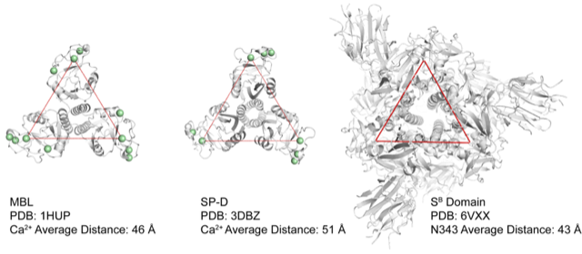 Coronavirus protocols will challenge Brewers' team chemistry