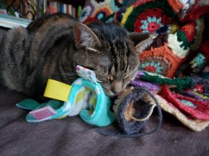 A cat rests her face on some toys