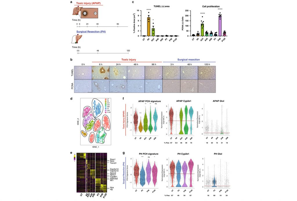 Shalek paper published in Nature Communications MIT Department of