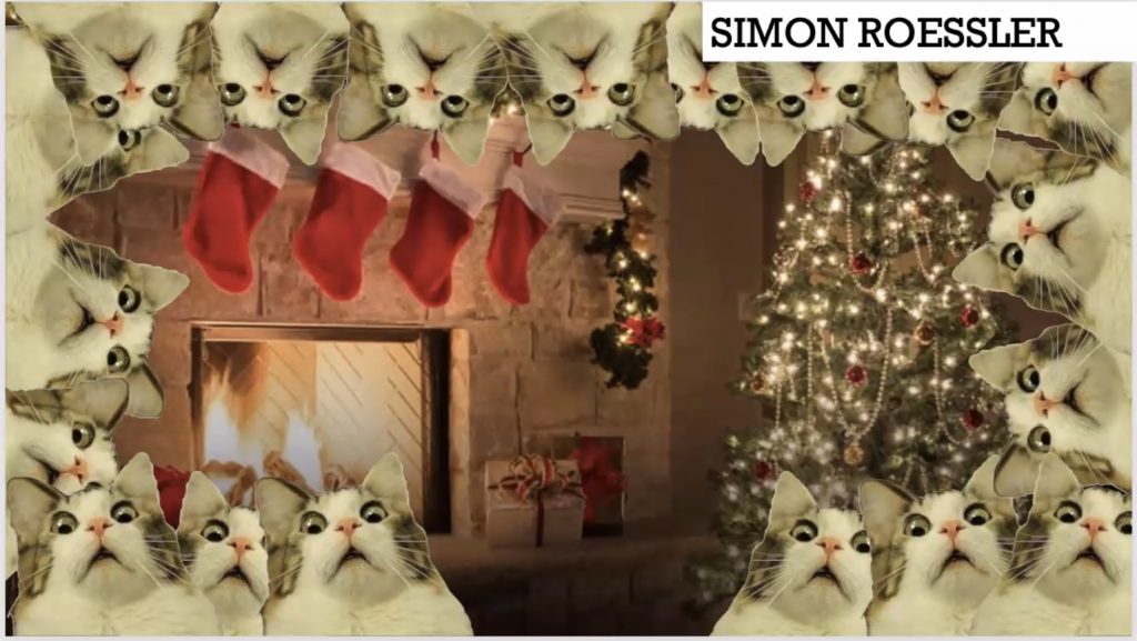 A zoom background featuring multiple horrified cats and a cozy Christmas living room.