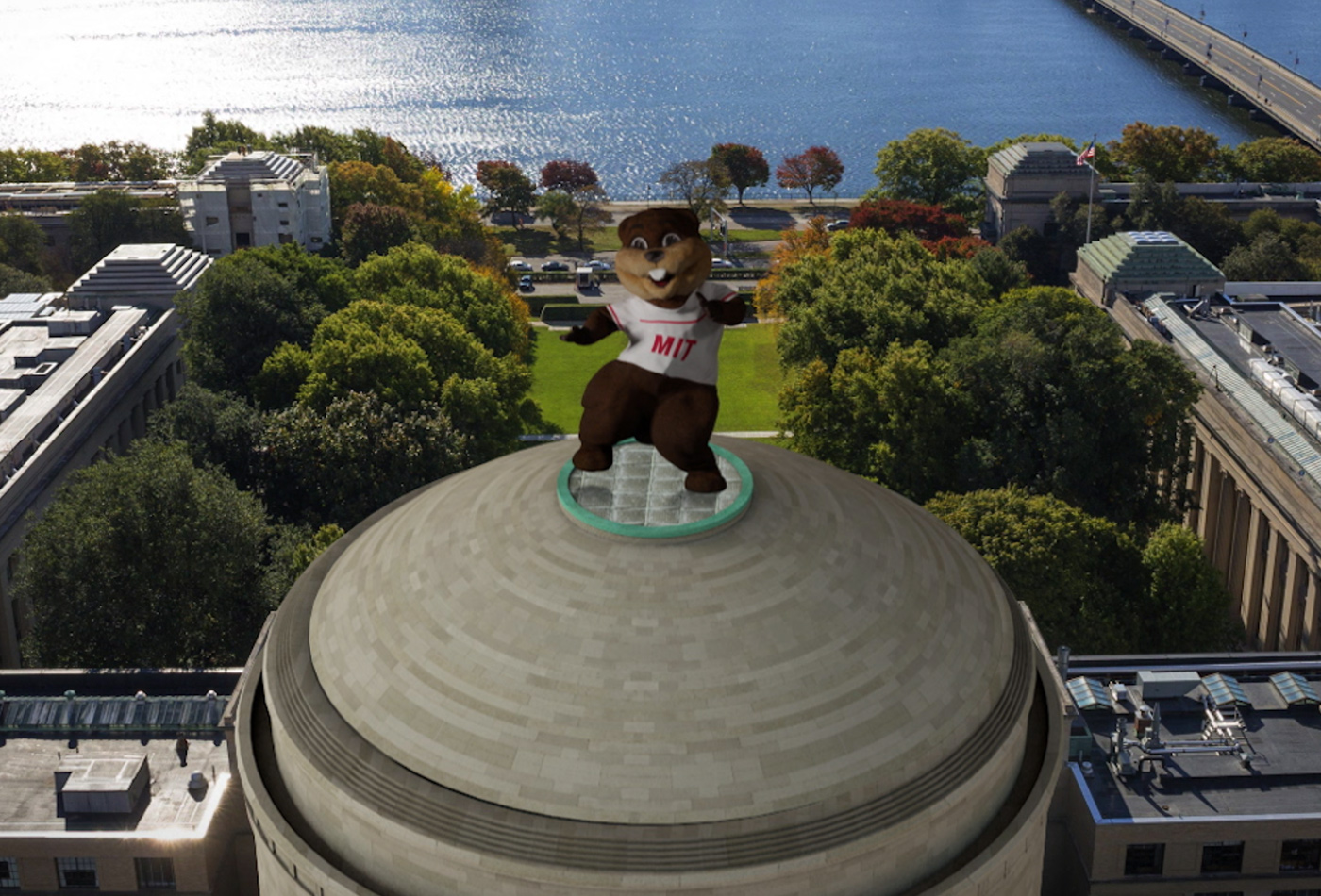 Tim the MIT beaver mascot dances atop the MIT dome.