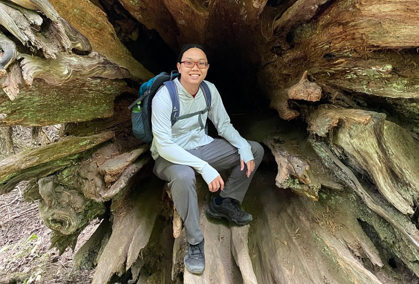 A man sits inside a giant tree trunk.
