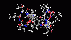 Moving graphic of the himastatin molecular structure