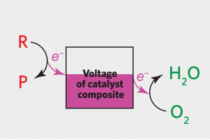 Text that reads "Voltage of catalyst composite" superimposed over a box partially filled with pink. To the left of the box is the reaction R into P and to the right is the reaction O2 into H2O