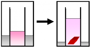 Left image is a diagram of a container, 1/3-filled with pink. An arrow points to the diagram on the right that shows a container 2/3-filled with pink liquid and a red object at the bottom.