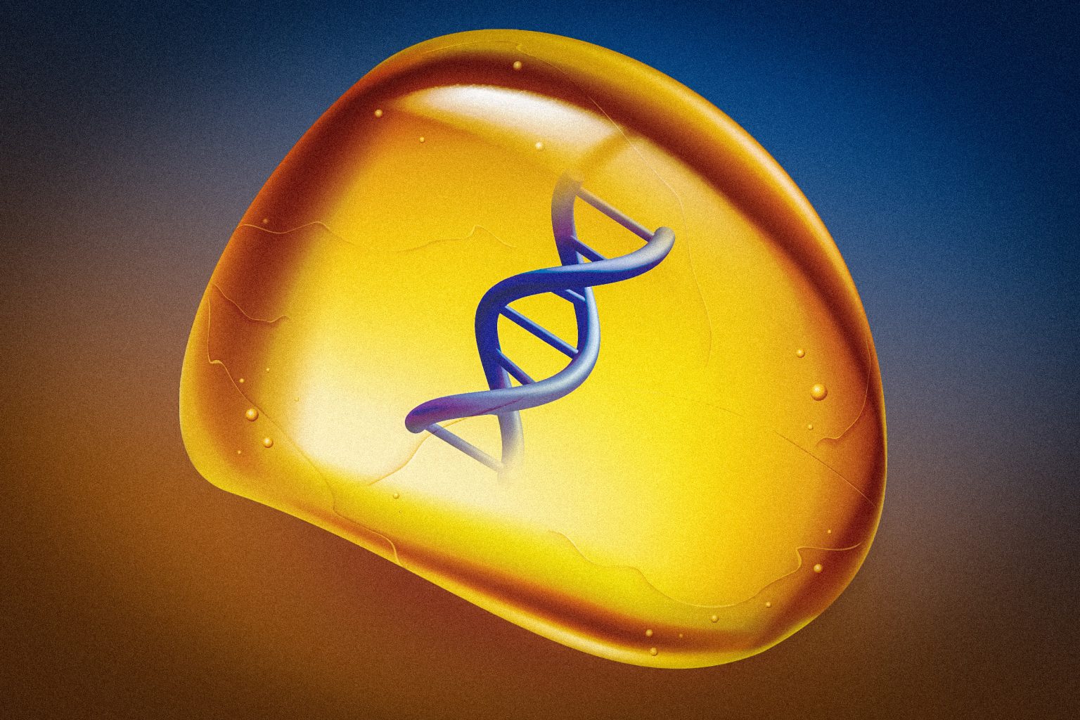 Scientists preserve DNA in an amberlike polymer MIT Department of