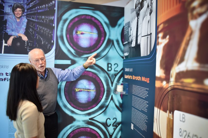 Artifacts from a half-century of cancer research – MIT Department of ...