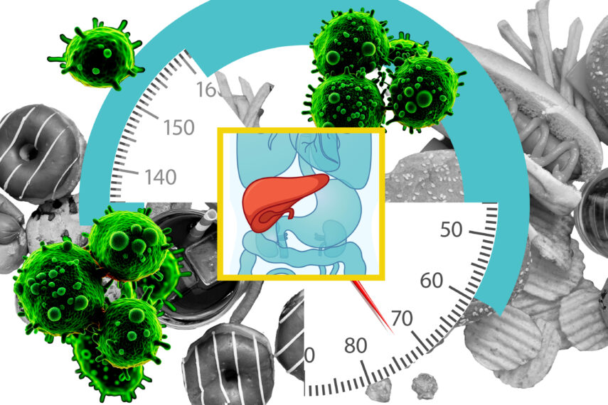 A new study from MIT reveals how a high-fat diet rewires liver cells and makes them more susceptible to becoming cancerous.