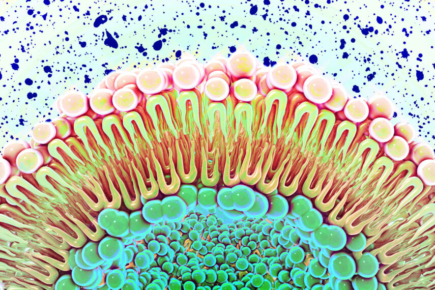 MIT chemists have found that changing the composition of the cell membrane can alter the function of EGFR, a cell receptor that promotes proliferation and is often overactive in cancer cells.