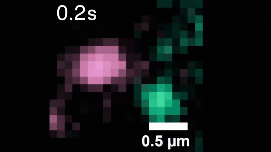 A gif depicting the science indicated in the caption.