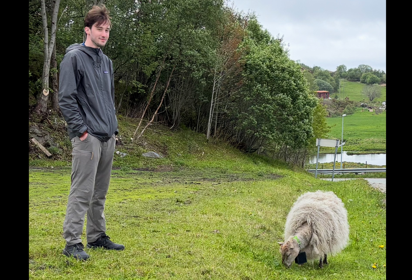 Jordan benchs stands outdoors beside a grazing sheep.